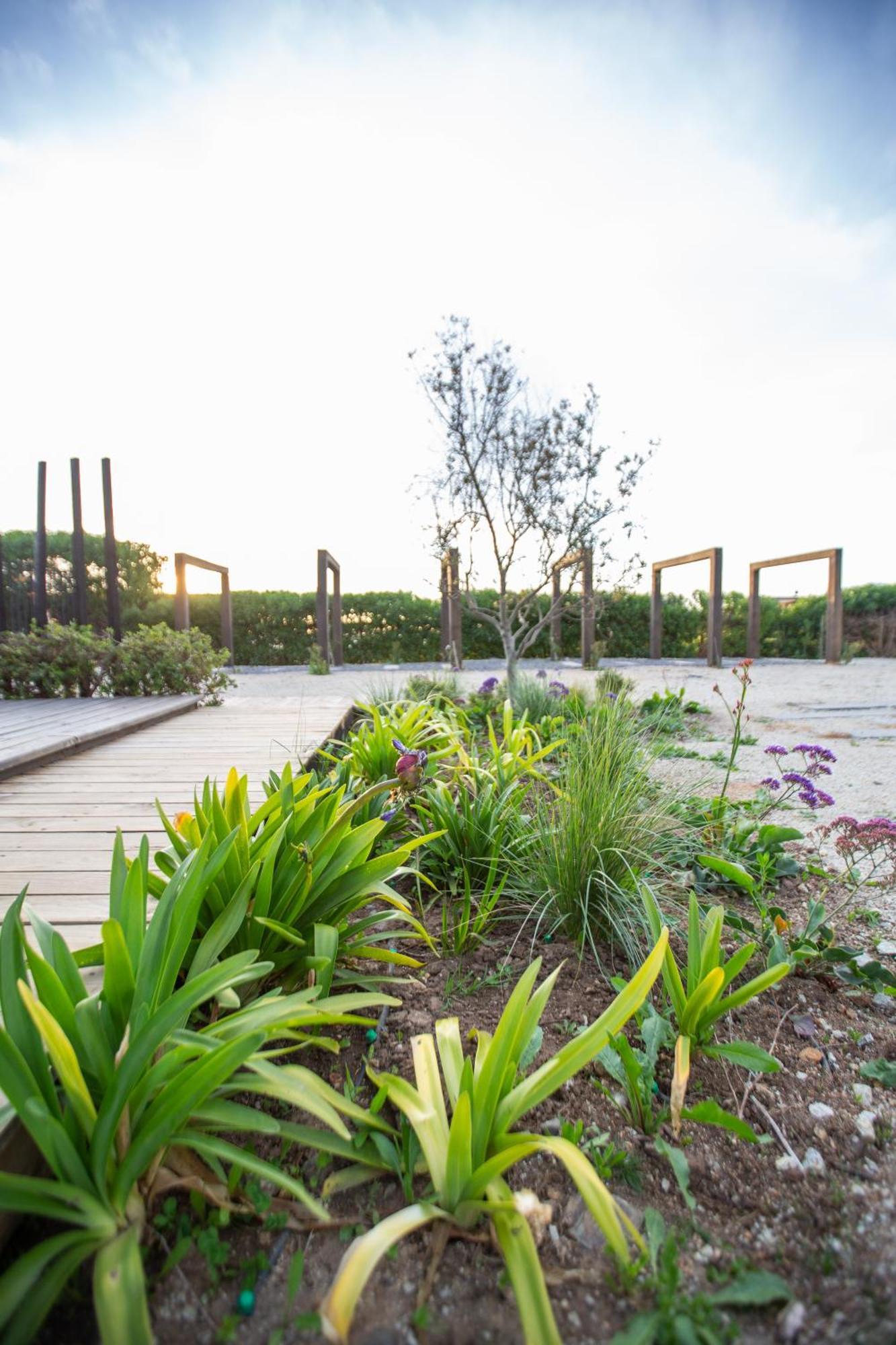 Refugio Lobos Pichilemu Exterior foto